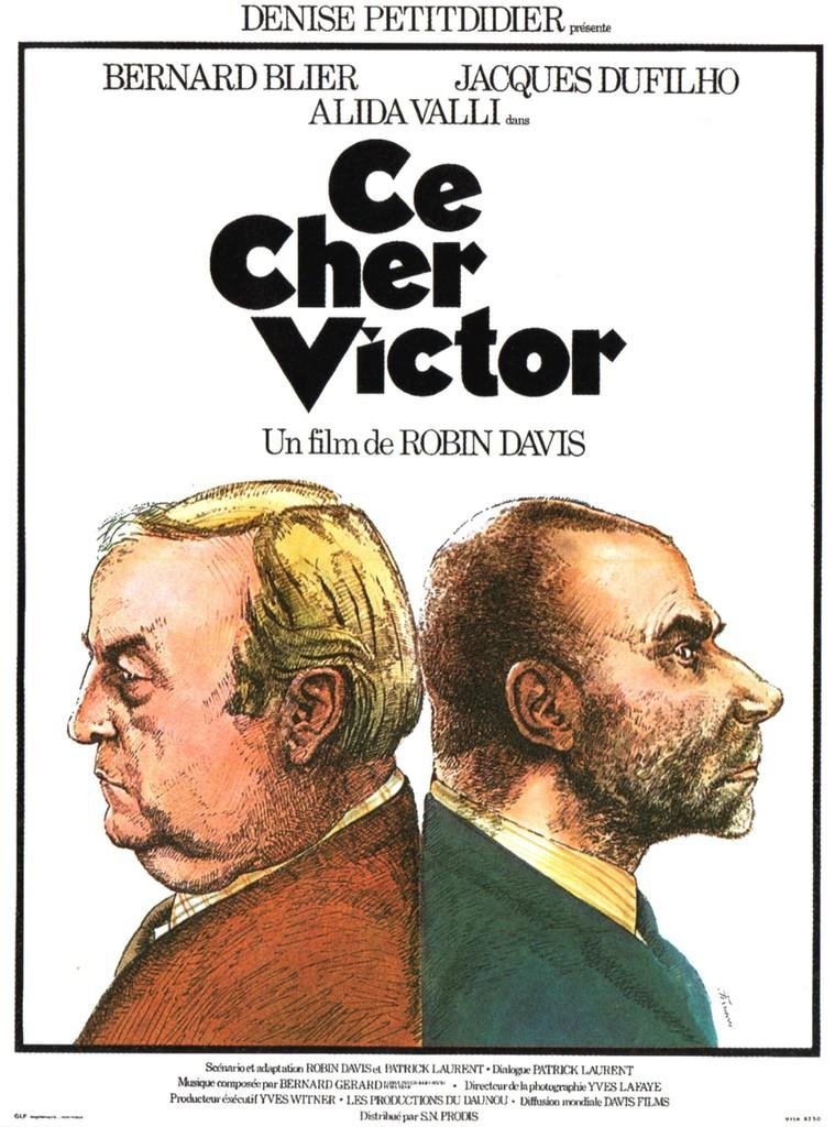 Cher Victor cover
