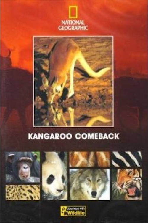 Kangaroo Comeback cover