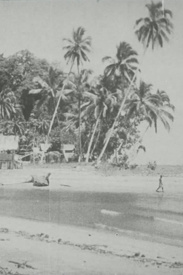 Bougainville cover