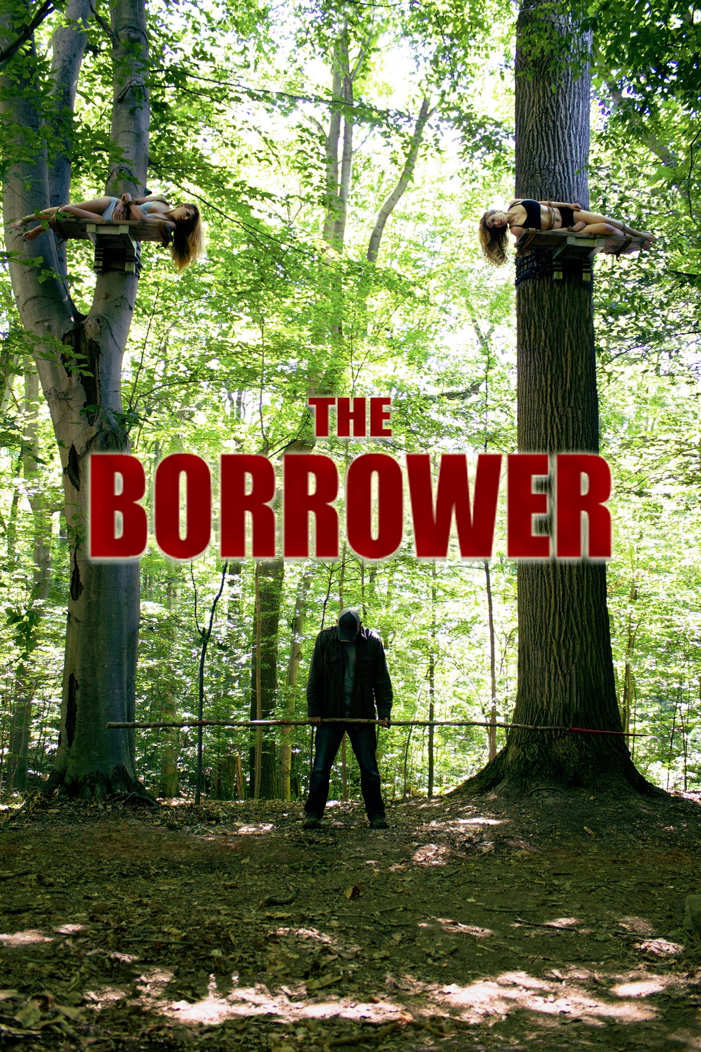 The Borrower cover
