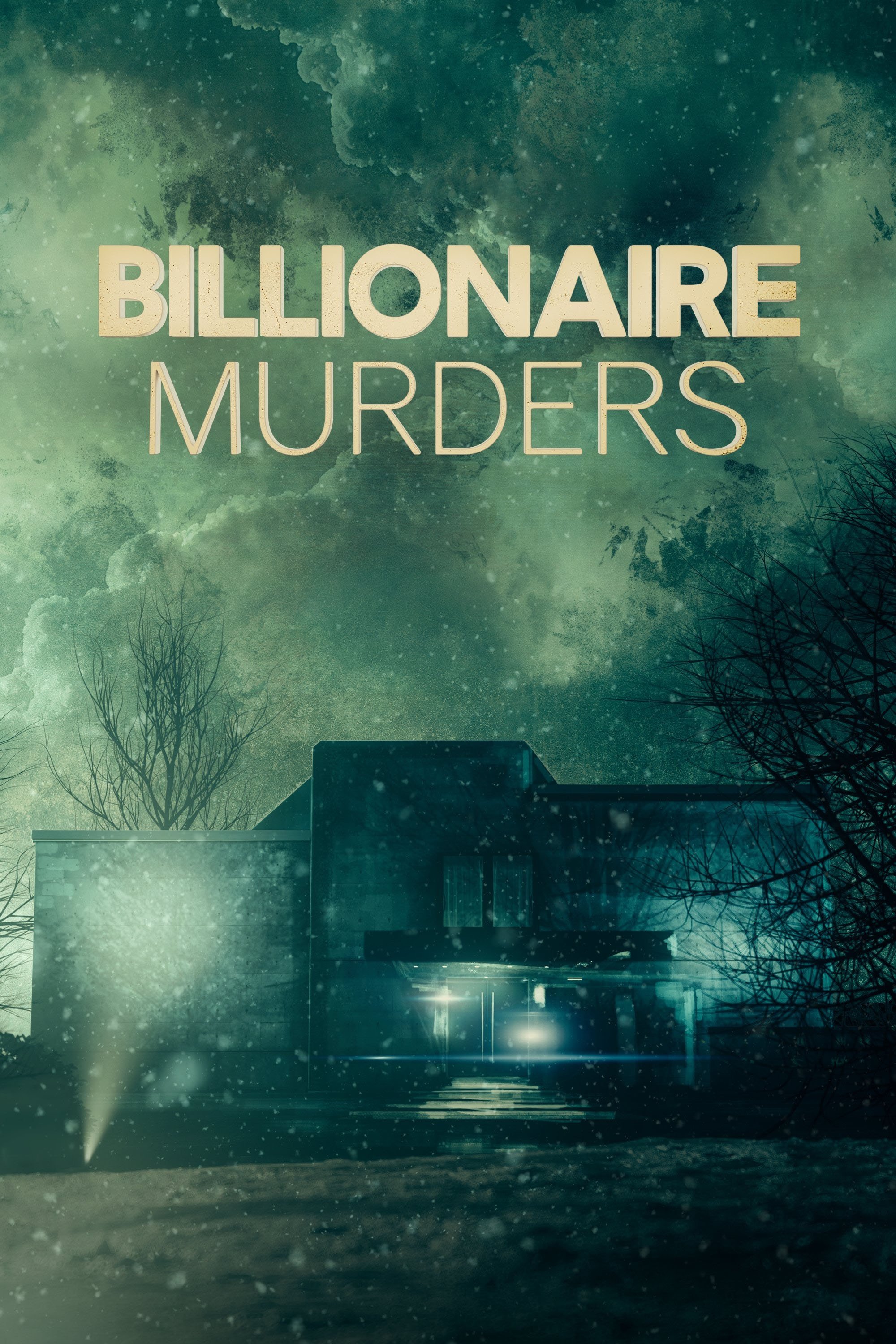 Billionaire Murders cover