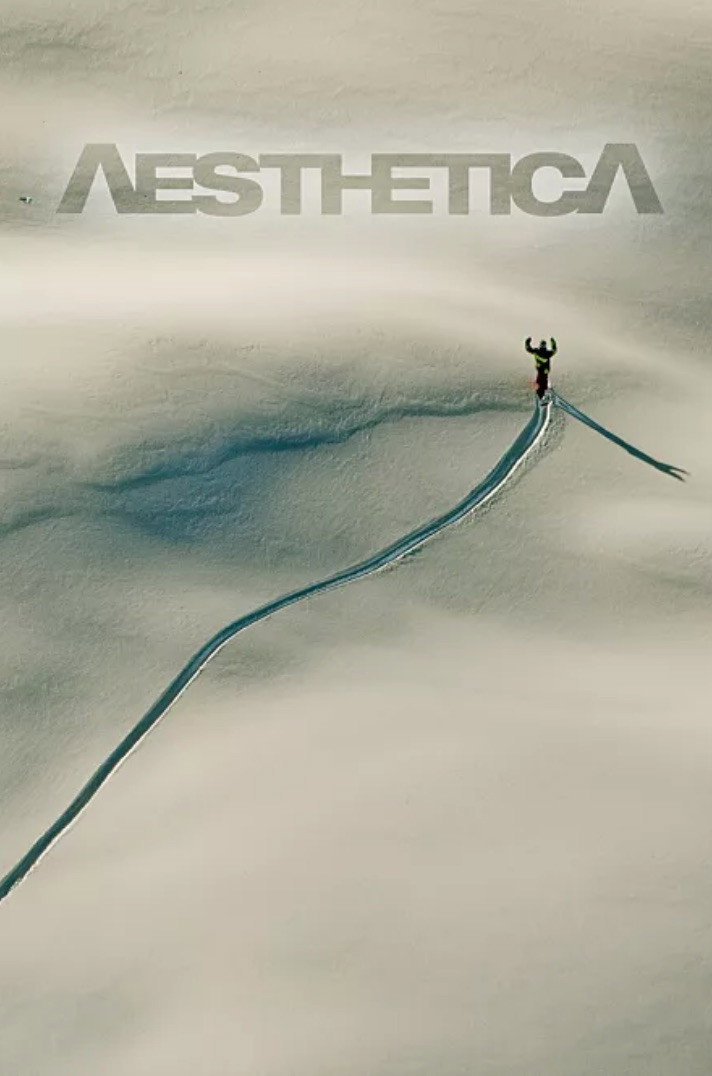 Aesthetica cover