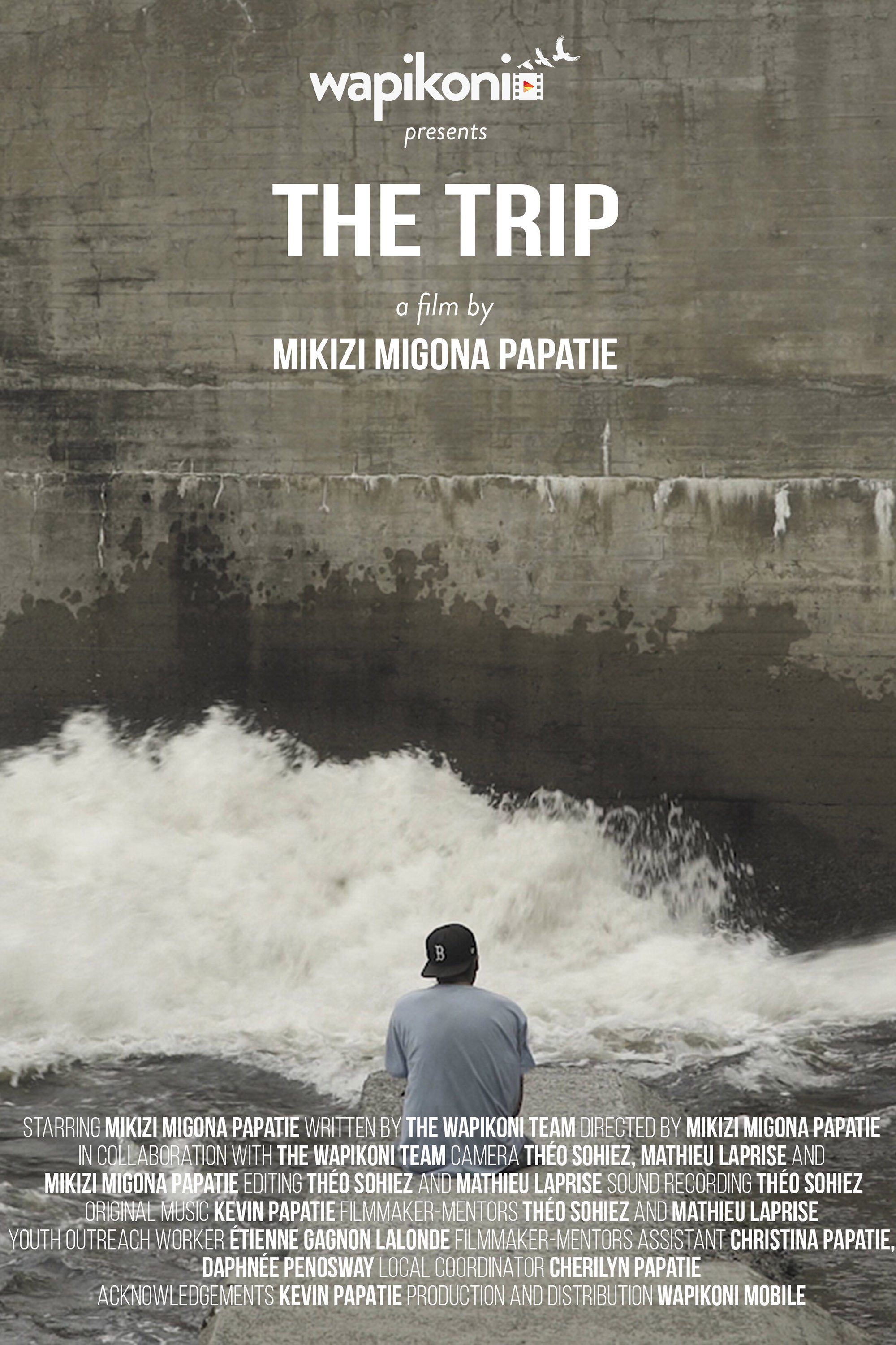 The Trip cover