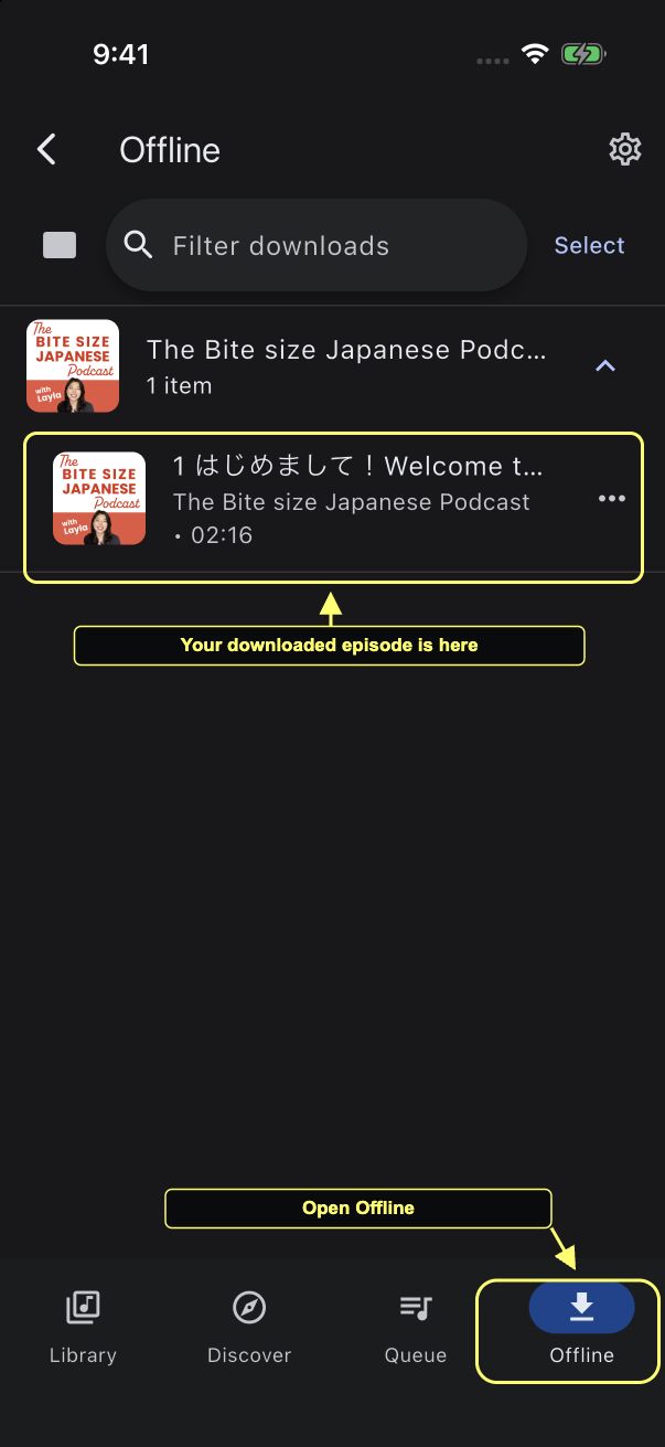 Offline tab showing the downloaded introductory podcast episode