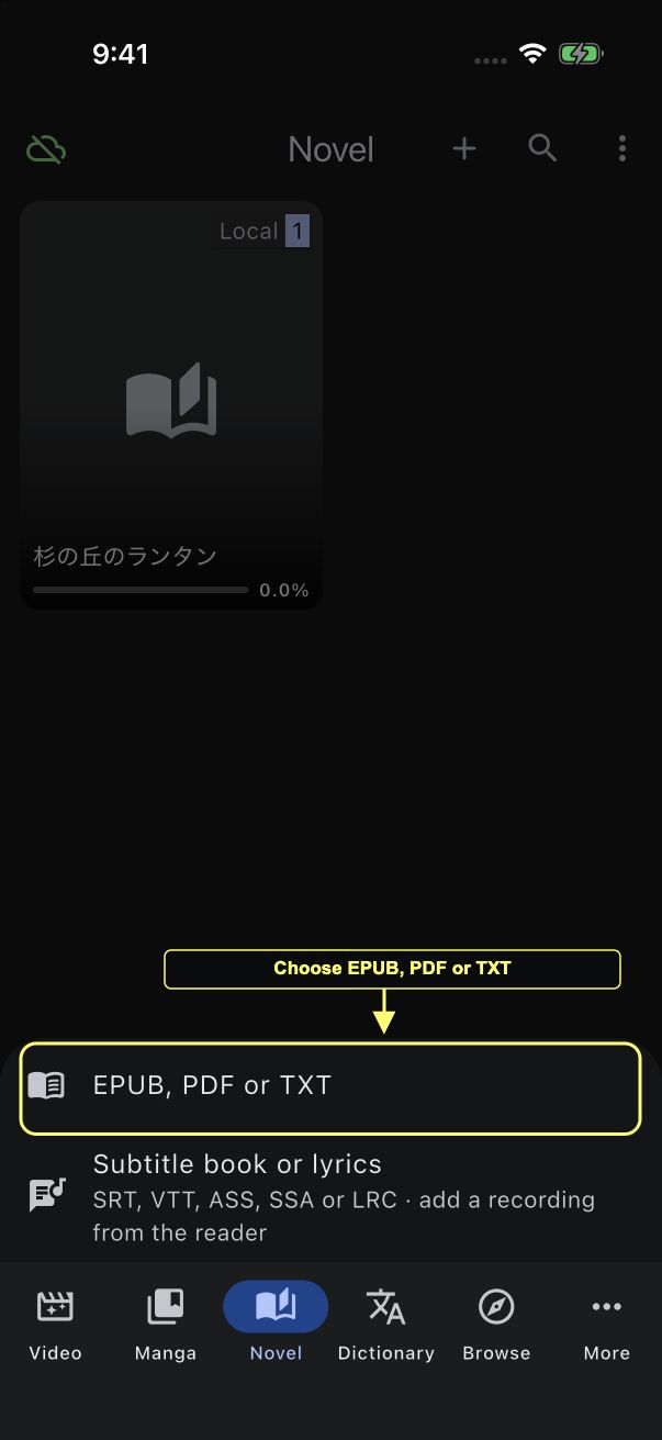 Import menu with EPUB, PDF or TXT outlined
