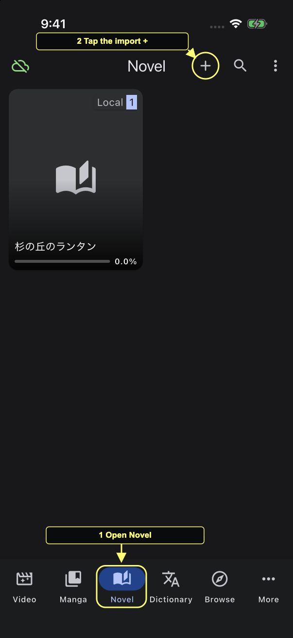 Novel library with the Novel tab and import plus highlighted