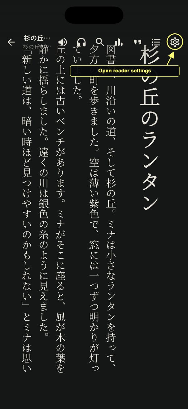 EPUB reader toolbar with the settings gear circled