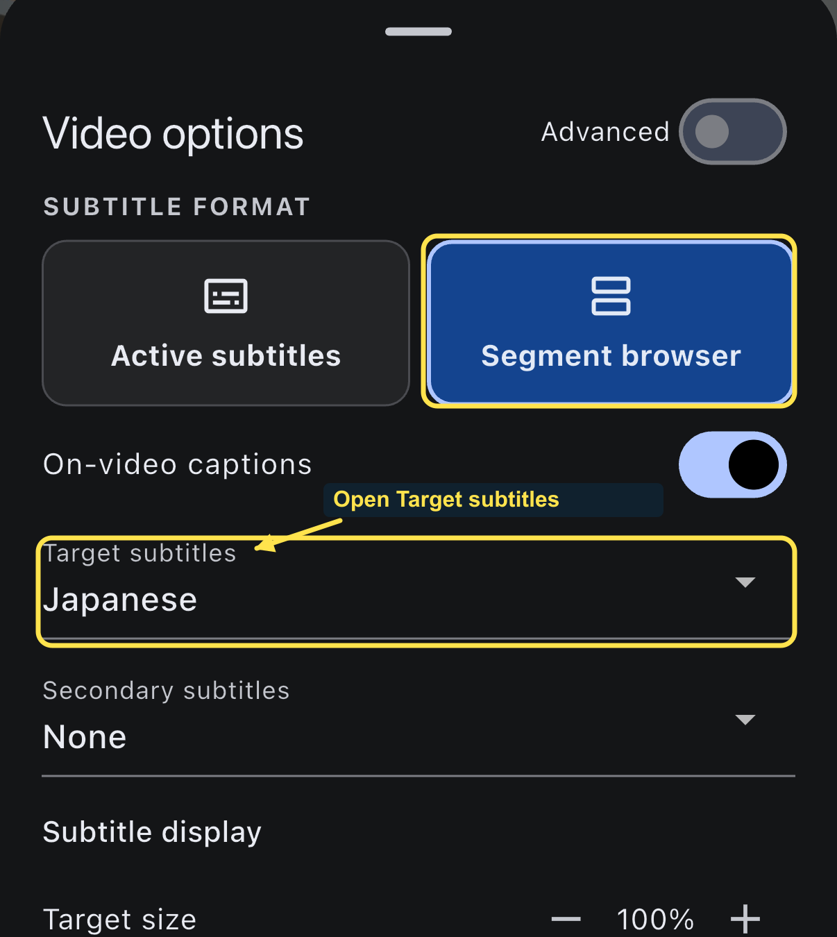 Segment browser and the Target subtitles dropdown are outlined in Video options.